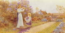 Lilacs, 1899 by Thomas James Lloyd