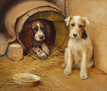 In the Dog House by Samuel Fulton
