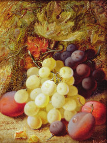 Grapes and Plums by Vincent Clare