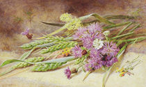 Green Wheat and Wild Flowers von Helen Cordelia Coleman Angell