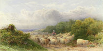 Sheep on the Downs von William W. Gosling