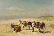 Donkeys on the Beach by Johannes Hubertus Leonardus de Haas