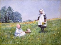 Buttercups and Daisies by Minnie Jane Hardman