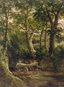 Gathering Timber by Henry Earp