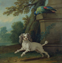 Zaza, the dog, c.1730 von Jean-Baptiste Oudry