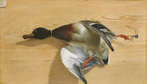A duck on a pine board, 1753 by Jean Jacques Bachelier
