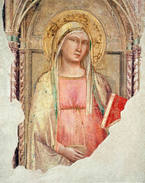Madonna del Parto by Taddeo Gaddi