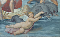 The Triumph of Galatea, 1512-14 by Raphael