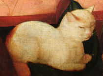 A white cat, detail from 'Four People Laughing at the Sight of a Cat' by Niccolo Frangipane