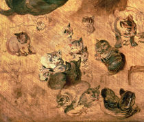 Study of cats, 1616 by Jan Brueghel the Elder