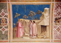 Joachim among the Shepherds von Giotto di Bondone