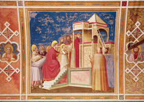 The Presentation of the Virgin at the Temple von Giotto di Bondone