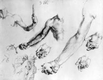 Studies for the arm of Adam by Albrecht Dürer
