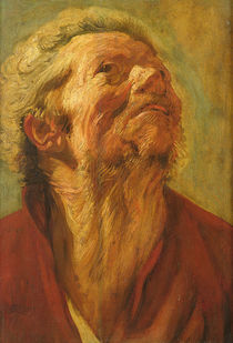 Study of a Head, or Head of an Apostle von Jacob Jordaens
