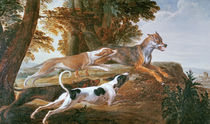 The Wolf Hunt, c.1720 von Alexandre-Francois Desportes