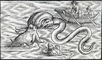 Sea monsters, 1511 by Spanish School