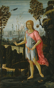Saint John the Baptist, c.1480 von Jacopo del Sellaio