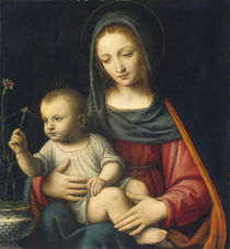 The Madonna of the Carnation by Bernardino Luini