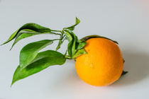 Orange from Mallorca by vasa-photography