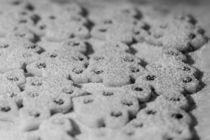 Snowy cookies - black&white edition von vasa-photography