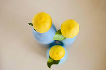 Three bottles & three lemons from above von vasa-photography