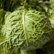 Cabbage by vasa-photography