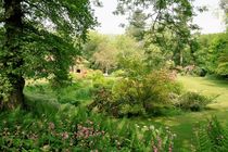 Garten in Kent by Frank  Kimpfel
