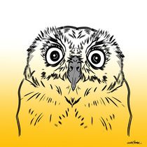 Baby Owl Design von Vincent J. Newman
