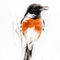 African-stonechat-male