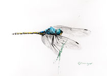 Blue Dragonfly von Andre Olwage