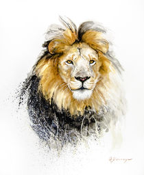 Lion 1 von Andre Olwage