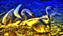 Magical Swan love 1 von kattobello