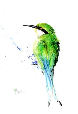 Swallow-tailed-bee-eater