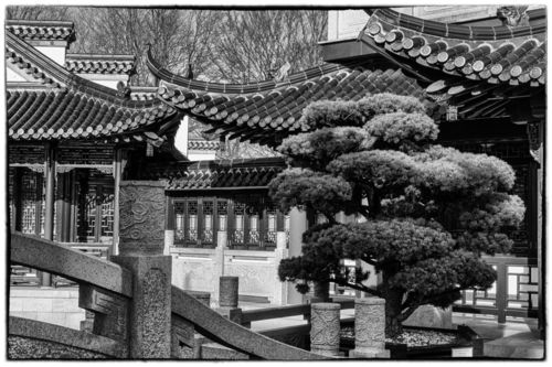 Chinese-teahouse-2