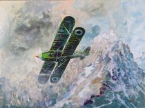 Hawker Fury biplane by Geoff Amos