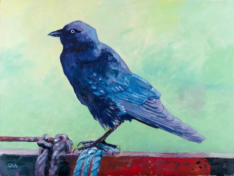 Jackdaw-oil-on-panel-24x18in