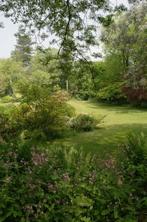 Garten in Kent von Frank  Kimpfel