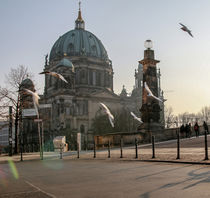 Berliner Dom, Vögel von Karsten Houben
