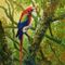 Scarlet-macaw-24x30in-ac-on-board
