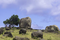 Orongo - Rapa Nui von sasto