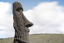 Moai Rano Raraku - Osterinsel - Easter Island by sasto