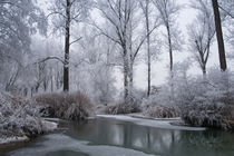märchenhafte Winterlandschaft von Karin Stein