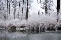 zauberhafte Winterwelt von Karin Stein