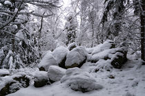Felsbrocken im Winterwald by Ronald Nickel