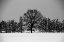 Winterlandschaft by frakn