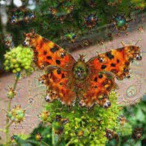 DeepDream – Schmetterling mit Traumgeschöpfen by schroeer-design