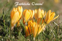 Fröhliche Ostern! by Simone Marsig