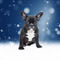 French-bulldog-snowchristmas