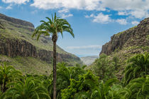 Canaria Canyon by vasa-photography