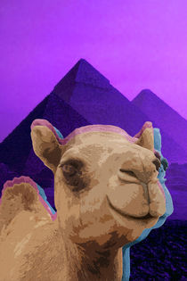  Psychedelic Camel. by Pedro  Barros